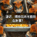 谨记,哪些花卉不能放在卧室?(图2) 谨记,哪些花卉不能放在卧室?(图2)