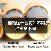 结婚送什么花？不同品种寓意不同（图3）