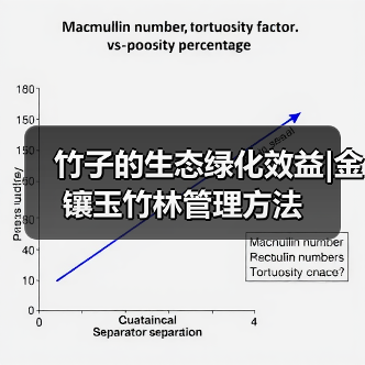 竹子的生态绿化效益|金镶玉竹林管理方法(图2) 竹子的生态绿化效益|金镶玉竹林管理方法(图2)