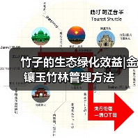 竹子的生态绿化效益|金镶玉竹林管理方法(图4) 竹子的生态绿化效益|金镶玉竹林管理方法(图4)