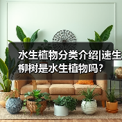 水生植物分类介绍|速生柳树是水生植物吗?(图3) 水生植物分类介绍|速生柳树是水生植物吗?(图3)