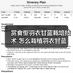 赏食型羽衣甘蓝栽培技术 怎么栽植羽衣甘蓝(图1) 赏食型羽衣甘蓝栽培技术 怎么栽植羽衣甘蓝(图1)