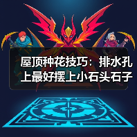 屋顶种花技巧:排水孔上最好摆上小石头石子(图3) 屋顶种花技巧:排水孔上最好摆上小石头石子(图3)