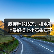 屋顶种花技巧:排水孔上最好摆上小石头石子(图2) 屋顶种花技巧:排水孔上最好摆上小石头石子(图2)