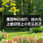 屋顶种花技巧:排水孔上最好摆上小石头石子(图1) 屋顶种花技巧:排水孔上最好摆上小石头石子(图1)