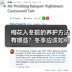 梅花入冬前的养护方法有哪些?冬季应该如何养护梅花?(图3) 梅花入冬前的养护方法有哪些?冬季应该如何养护梅花?(图3)