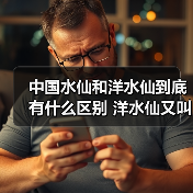 中国水仙和洋水仙到底有什么区别 洋水仙又叫什么(图2) 中国水仙和洋水仙到底有什么区别 洋水仙又叫什么(图2)