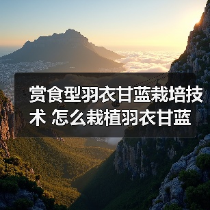 赏食型羽衣甘蓝栽培技术 怎么栽植羽衣甘蓝(图3) 赏食型羽衣甘蓝栽培技术 怎么栽植羽衣甘蓝(图3)
