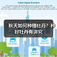 秋天如何种植牡丹?种好牡丹有讲究(图4) 秋天如何种植牡丹?种好牡丹有讲究(图4)