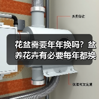 花盆需要年年换吗?盆养花卉有必要每年都换盆吗?(图2) 花盆需要年年换吗?盆养花卉有必要每年都换盆吗?(图2)