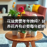 花盆需要年年换吗?盆养花卉有必要每年都换盆吗?(图1) 花盆需要年年换吗?盆养花卉有必要每年都换盆吗?(图1)