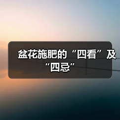 盆花施肥的“四看”及“四忌”(图4) 盆花施肥的“四看”及“四忌”(图4)