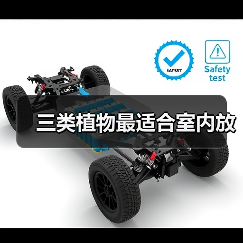 三类植物最适合室内放(图4) 三类植物最适合室内放(图4)