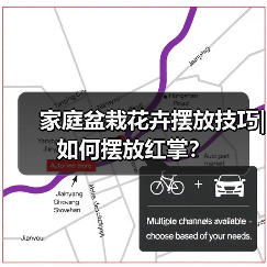 家庭盆栽花卉摆放技巧|如何摆放红掌?(图4) 家庭盆栽花卉摆放技巧|如何摆放红掌?(图4)