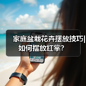 家庭盆栽花卉摆放技巧|如何摆放红掌?(图3) 家庭盆栽花卉摆放技巧|如何摆放红掌?(图3)