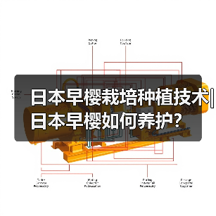 日本早樱栽培种植技术|日本早樱如何养护?(图4) 日本早樱栽培种植技术|日本早樱如何养护?(图4)
