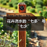 花卉浇水的“七多”与“七少”（图4）