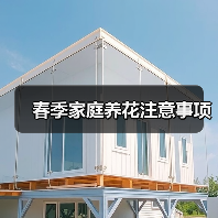 春季家庭养花注意事项（图4）