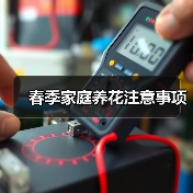 春季家庭养花注意事项（图1）