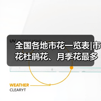 全国各地市花一览表|市花杜鹃花、月季花最多(图1) 全国各地市花一览表|市花杜鹃花、月季花最多(图1)