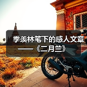 季羡林笔下的感人文章——《二月兰》(图2) 季羡林笔下的感人文章——《二月兰》(图2)