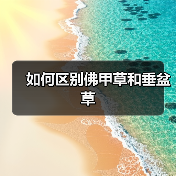 如何区别佛甲草和垂盆草（图4）