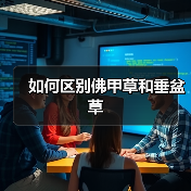 如何区别佛甲草和垂盆草（图3）