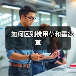 如何区别佛甲草和垂盆草（图1）