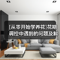 [从零开始学养花]花期调控中遇到的问题及解决办法（图2）