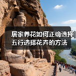 居家养花如何正确选择|五行选择花卉的方法(图3) 居家养花如何正确选择|五行选择花卉的方法(图3)