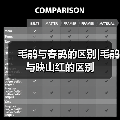 毛鹃与春鹃的区别|毛鹃与映山红的区别（图3）