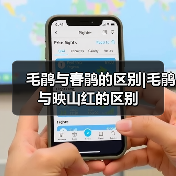 毛鹃与春鹃的区别|毛鹃与映山红的区别（图1）