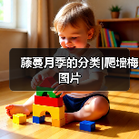 藤蔓月季的分类|爬墙梅图片（图3）