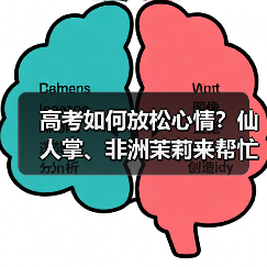 高考如何放松心情?仙人掌、非洲茉莉来帮忙(图1) 高考如何放松心情?仙人掌、非洲茉莉来帮忙(图1)