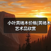 小叶黄杨木价格|黄杨木艺术品欣赏(图1) 小叶黄杨木价格|黄杨木艺术品欣赏(图1)