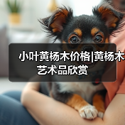 小叶黄杨木价格|黄杨木艺术品欣赏(图2) 小叶黄杨木价格|黄杨木艺术品欣赏(图2)