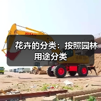 花卉的分类:按照园林用途分类(图3) 花卉的分类:按照园林用途分类(图3)