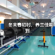 冬末春初时,养兰佳期到(图4) 冬末春初时,养兰佳期到(图4)