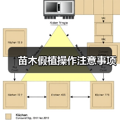 苗木假植操作注意事项(图3) 苗木假植操作注意事项(图3)