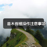 苗木假植操作注意事项(图4) 苗木假植操作注意事项(图4)