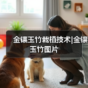 金镶玉竹栽植技术|金镶玉竹图片(图2) 金镶玉竹栽植技术|金镶玉竹图片(图2)