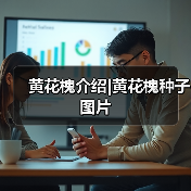 黄花槐介绍|黄花槐种子图片（图2）