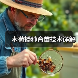 木荷播种育苗技术详解（图2）