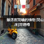 最适宜爬墙的植物|爬山虎|爬墙梅(图3) 最适宜爬墙的植物|爬山虎|爬墙梅(图3)