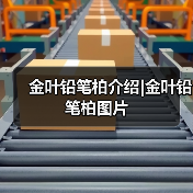 金叶铅笔柏介绍|金叶铅笔柏图片(图1) 金叶铅笔柏介绍|金叶铅笔柏图片(图1)