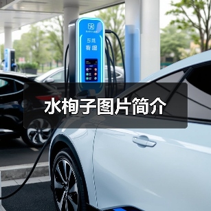 水栒子图片简介(图2) 水栒子图片简介(图2)