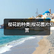 樱花的种类|樱花图片欣赏（图4）