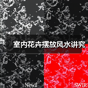 室内花卉摆放风水讲究(图2) 室内花卉摆放风水讲究(图2)