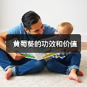 黄蜀葵的功效和价值(图3) 黄蜀葵的功效和价值(图3)