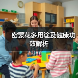 密蒙花多用途及健康功效解析（图2）